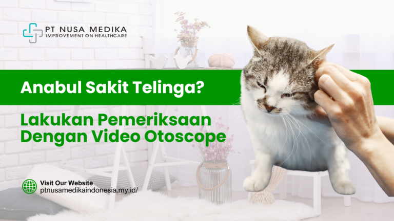 Anabul Sakit Telinga? Lakukan Pemeriksaan Dengan Video Otoscope