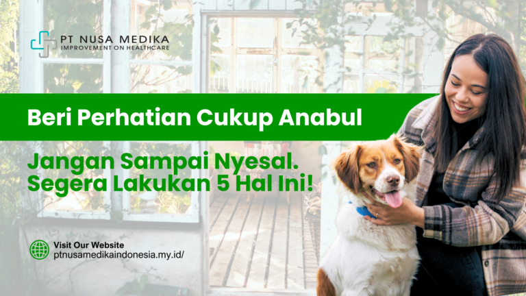 Beri Perhatian Cukup Anabul. Jangan Sampai Nyesal. Segera Lakukan 5 Hal Ini!