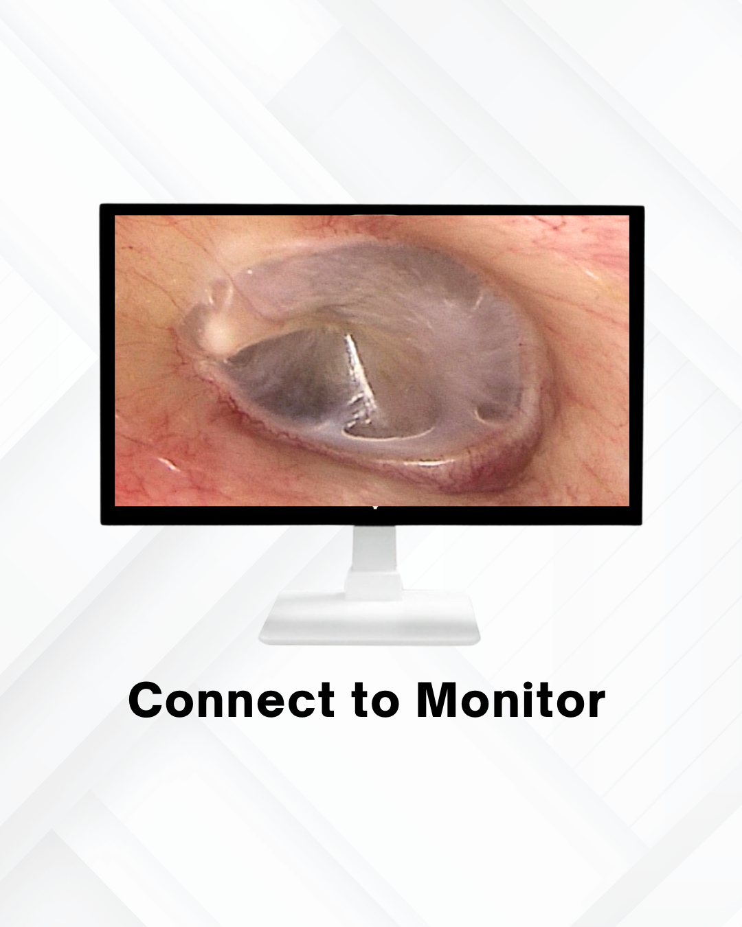 Website Foto - NMI (2)